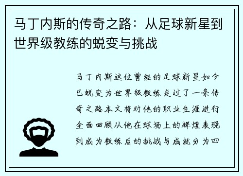 马丁内斯的传奇之路：从足球新星到世界级教练的蜕变与挑战
