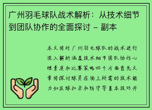 广州羽毛球队战术解析：从技术细节到团队协作的全面探讨 - 副本